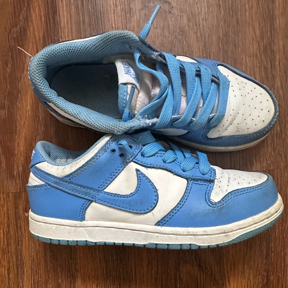 Nike dunks blue